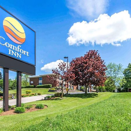 Comfort Inn Owen Sound Bagian luar foto